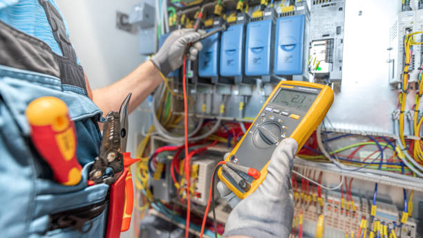 Best Electric Panel Repair  in Palm Coast, FL